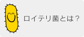 ロイテリ菌とは？