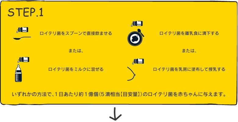 いずれかの方法で、1日あたり約1億個(5滴相当【目安量】)のロイテリ菌を赤ちゃんに与えます。